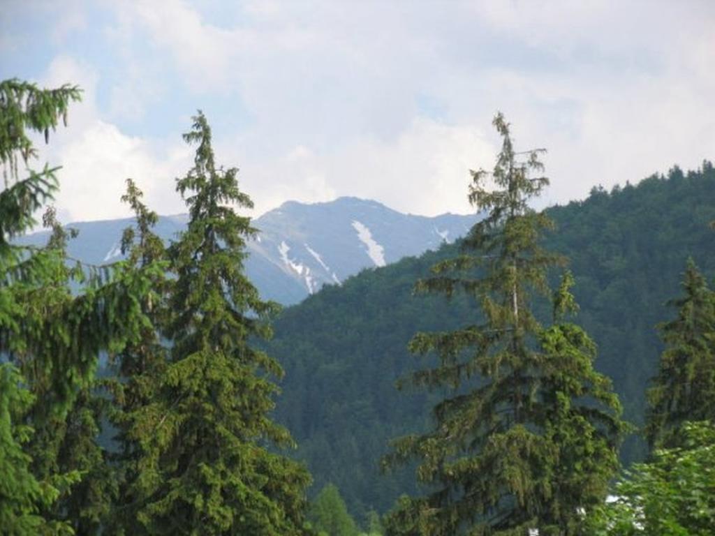 Willa Lesna Zakopane Eksteriør bilde